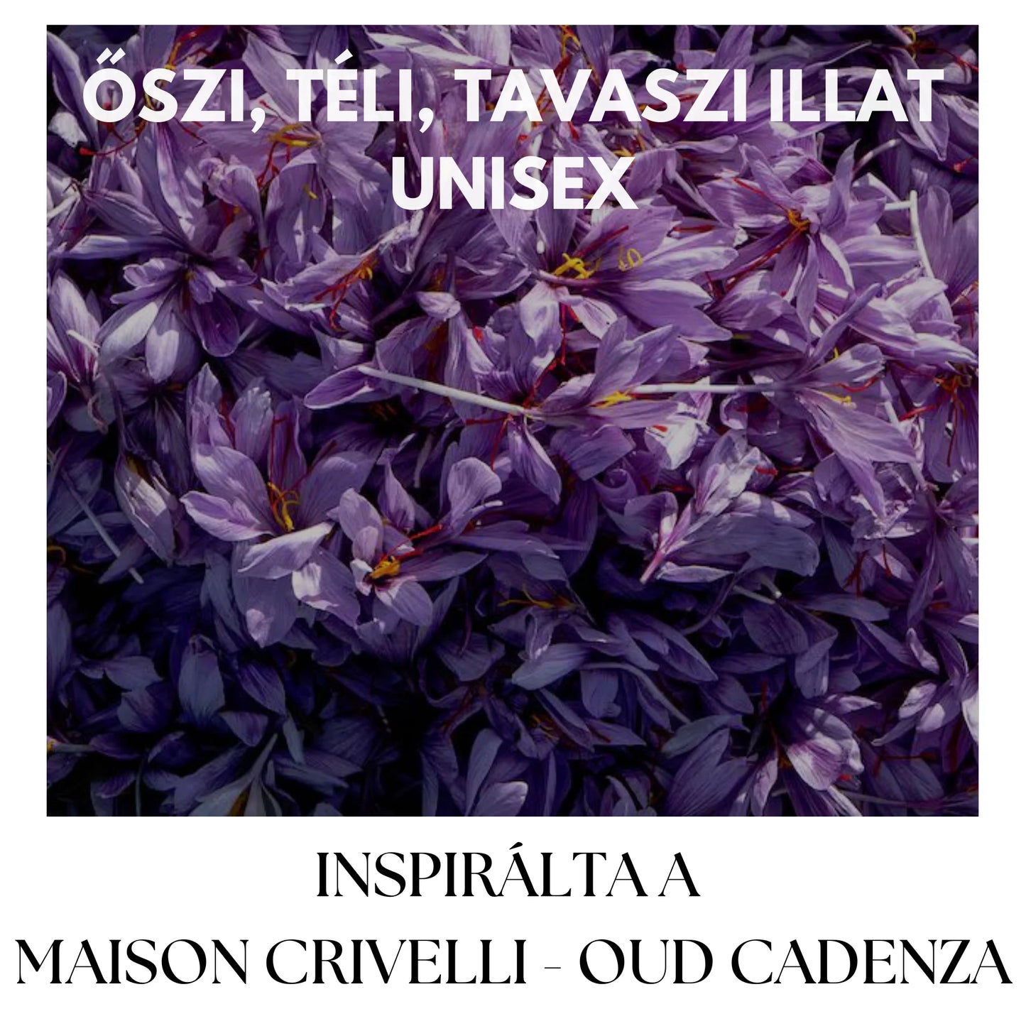 COCOA MORADO - 100 ML