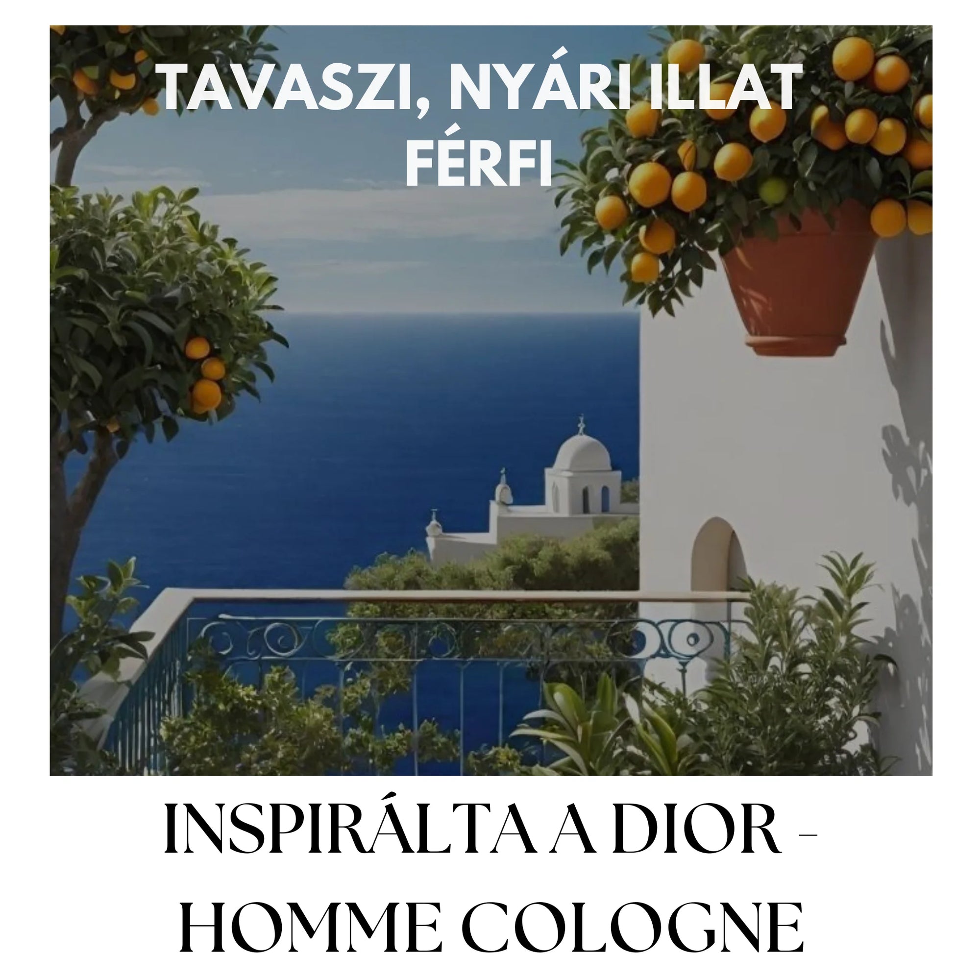 RAYHAAN AZUL EDP - 100 ML