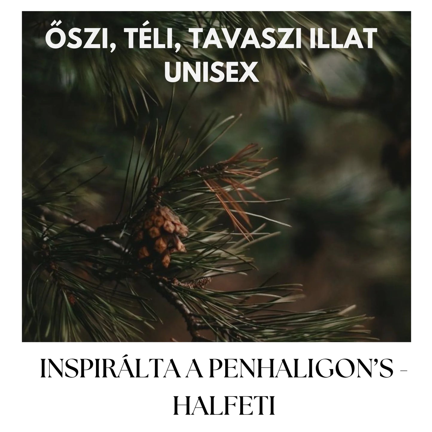 RAYHAAN TIGER (CAL COLOGNE EDITION) EXTRAIT - 100 ML