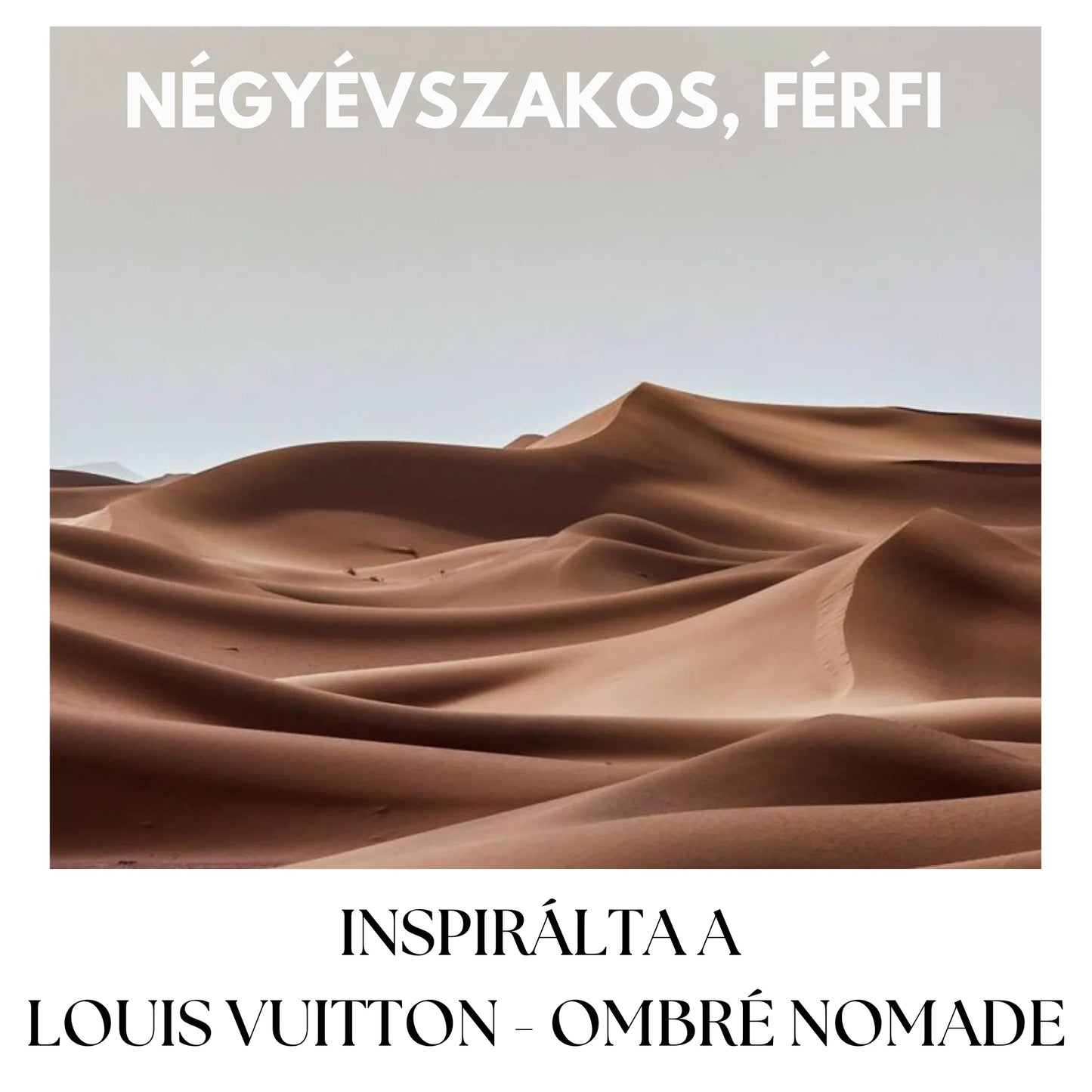 JEAN LOWE NOIR - 100 ML