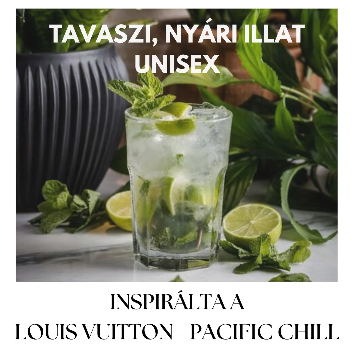 PINNACE EDP - 100 ML