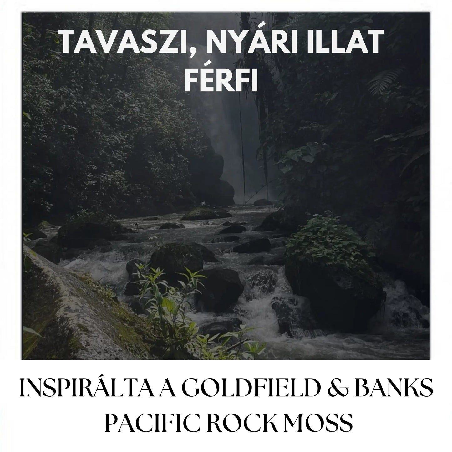 RAVINE ICE - 5 ML