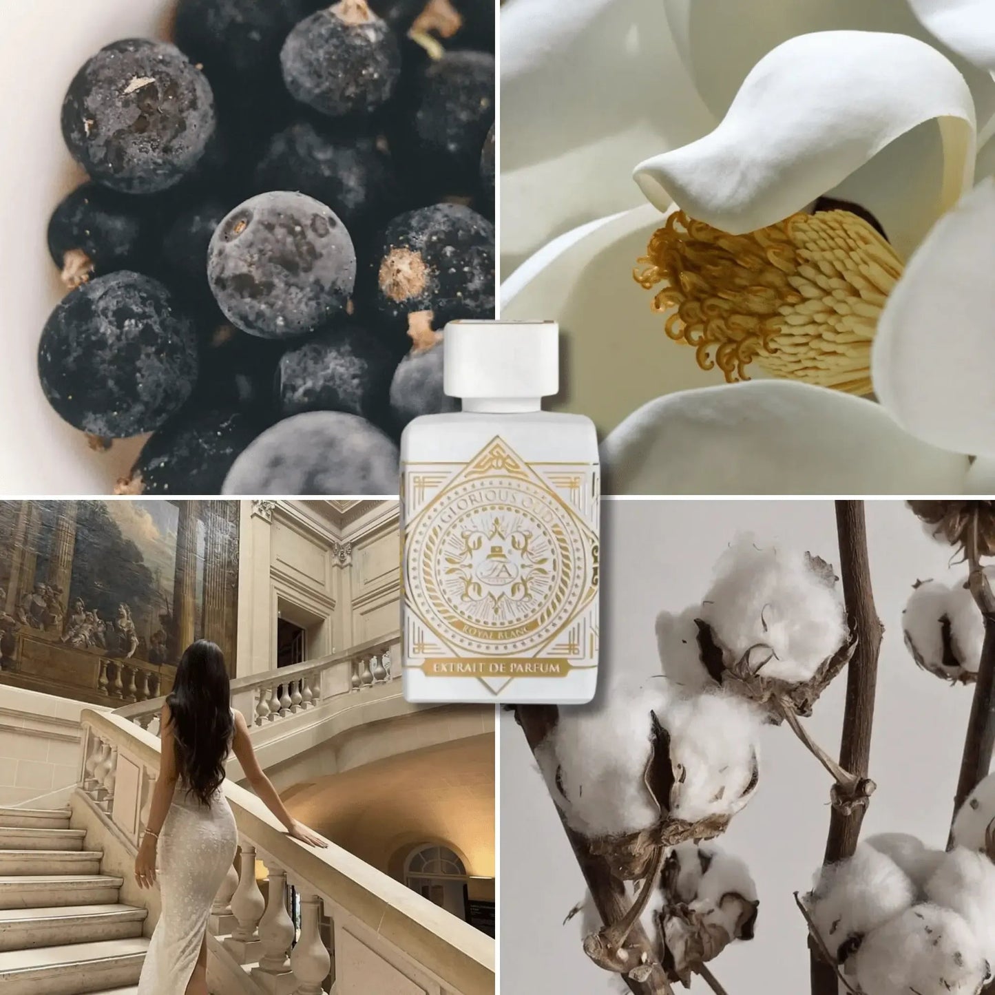 GLORIOUS OUD ROYAL BLANC - 80 ML - CRESCENT